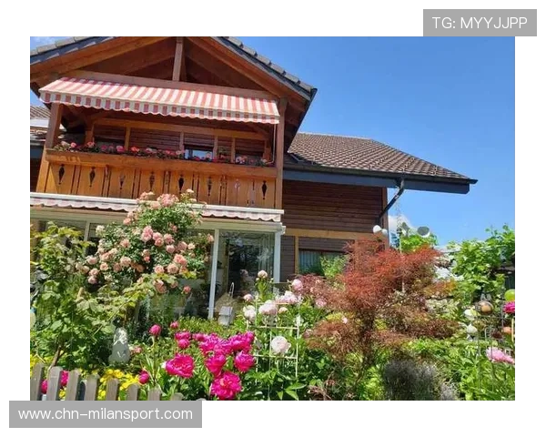 米兰官网入口导航指南帮助用户轻松找到米兰官方网站入口途径详解